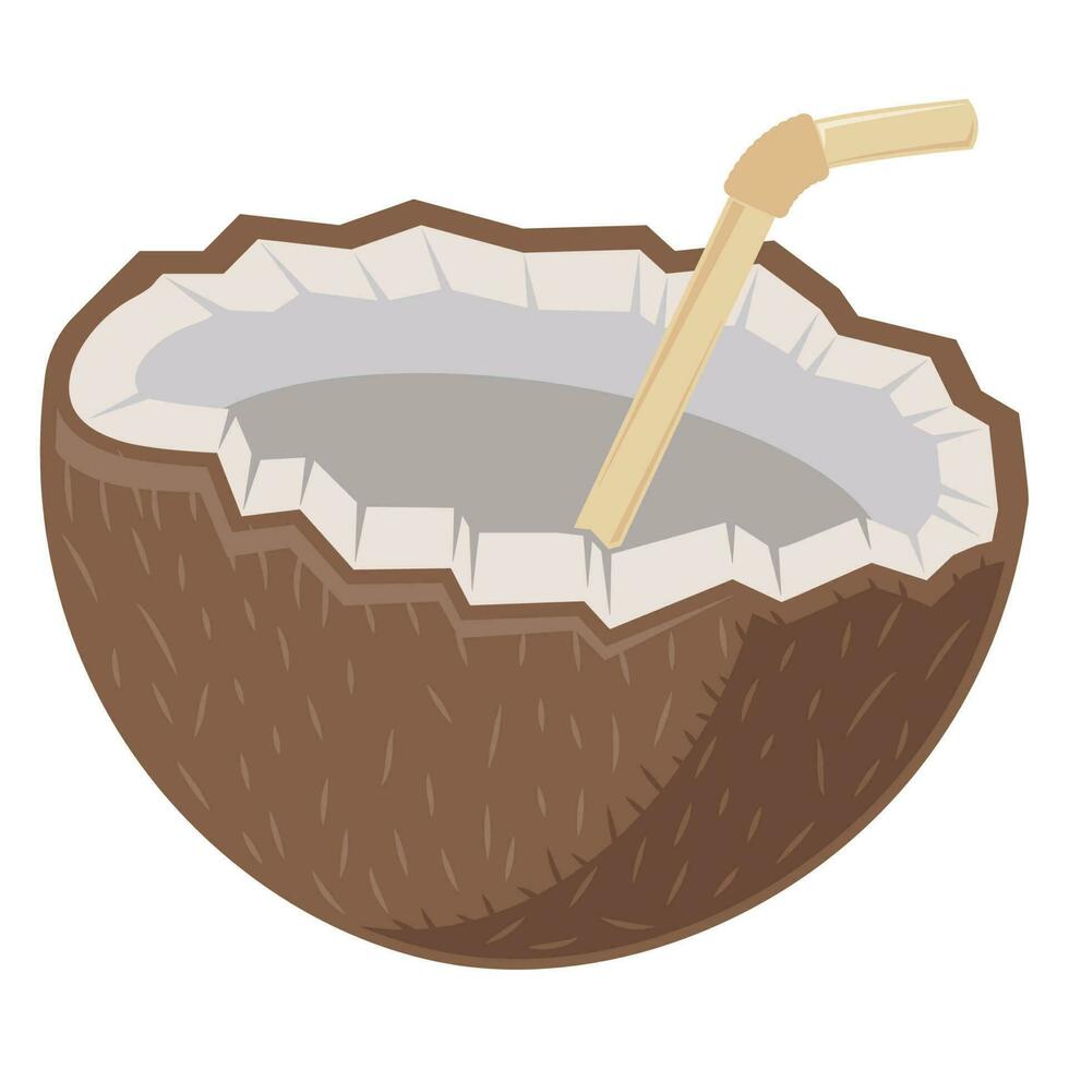 Kokosnuss Milch tropisch gesund trinken Über Weiß vektor