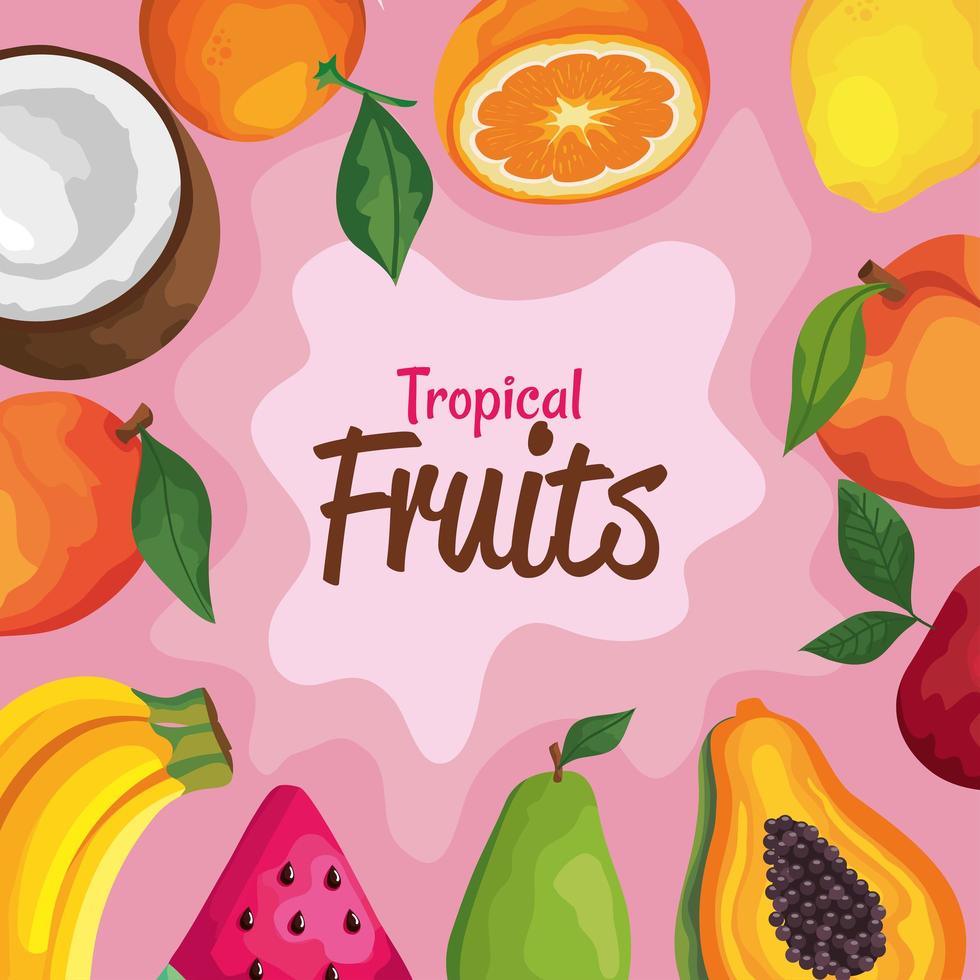 tropische Früchte Schriftzug vektor