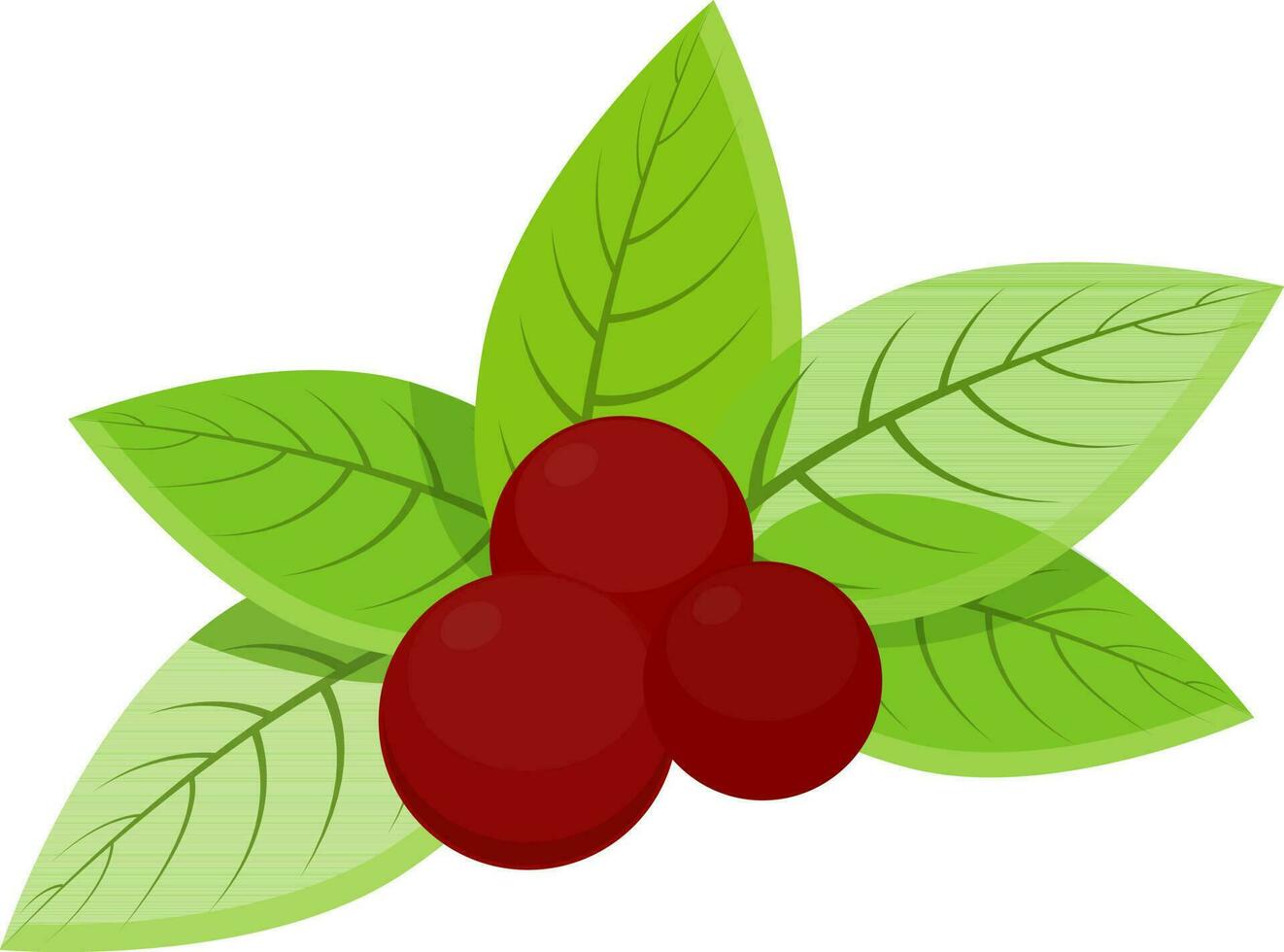 illustration av röd bär med grön löv. vektor
