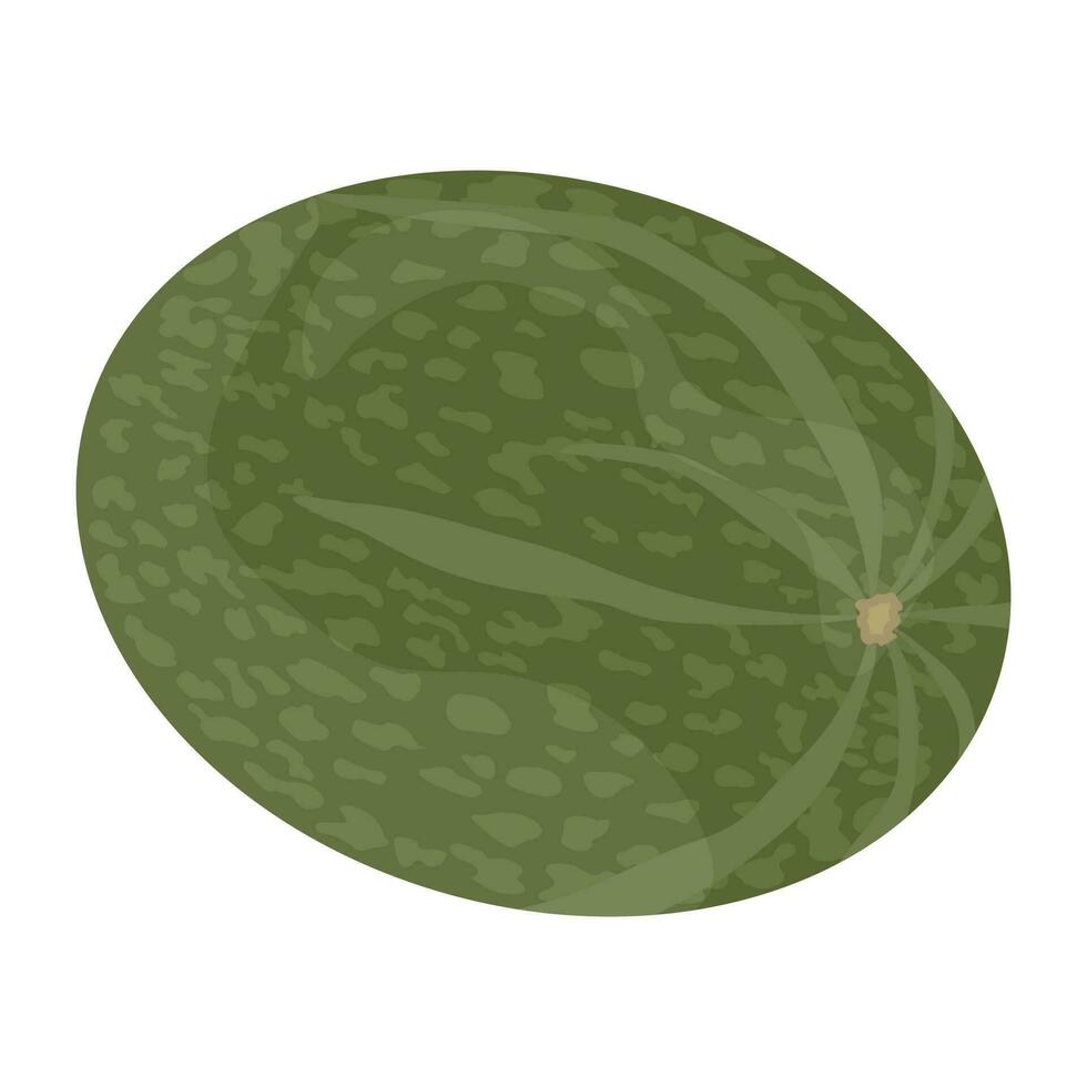 runden groß Oval geformt Gemüse mit uneben Grün Haut, diese ist japanisch Kürbis Symbol vektor