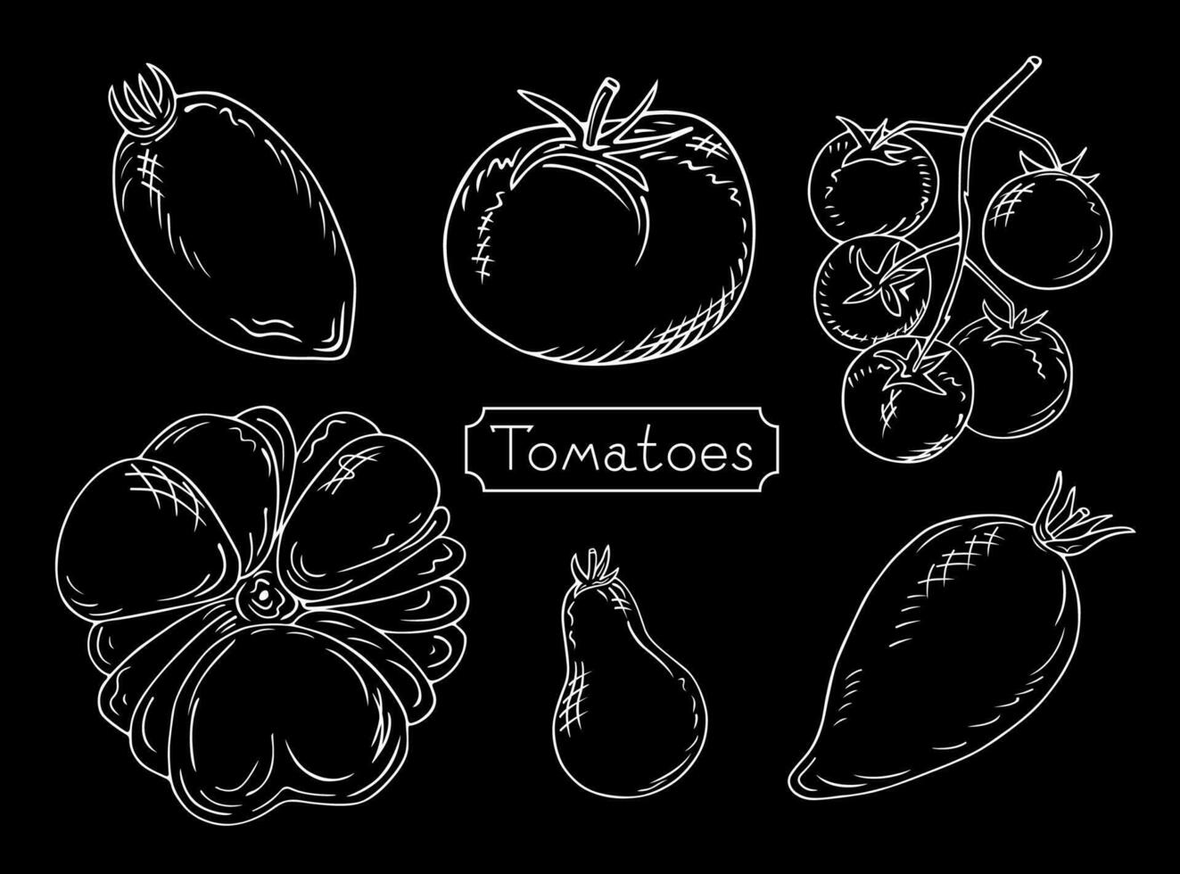 hand dragen uppsättning av tomater och text. lökformig, avlång, runda och körsbär tomater. detaljerad retro mat skiss. mogna grönsaker isolerat på svart bakgrund. graverat stil illustration vektor