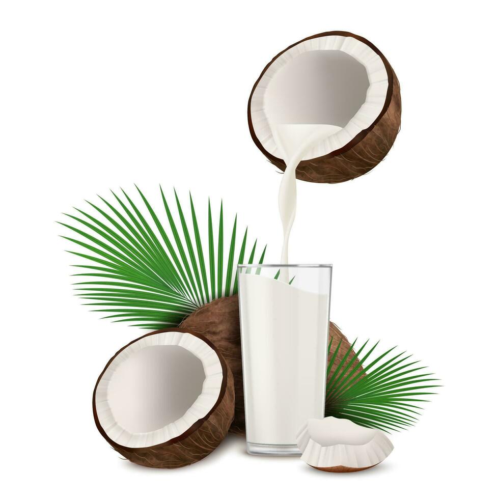 realistisch detailliert 3d Kokos Nuss und Kokosnuss Milch Glas. Vektor