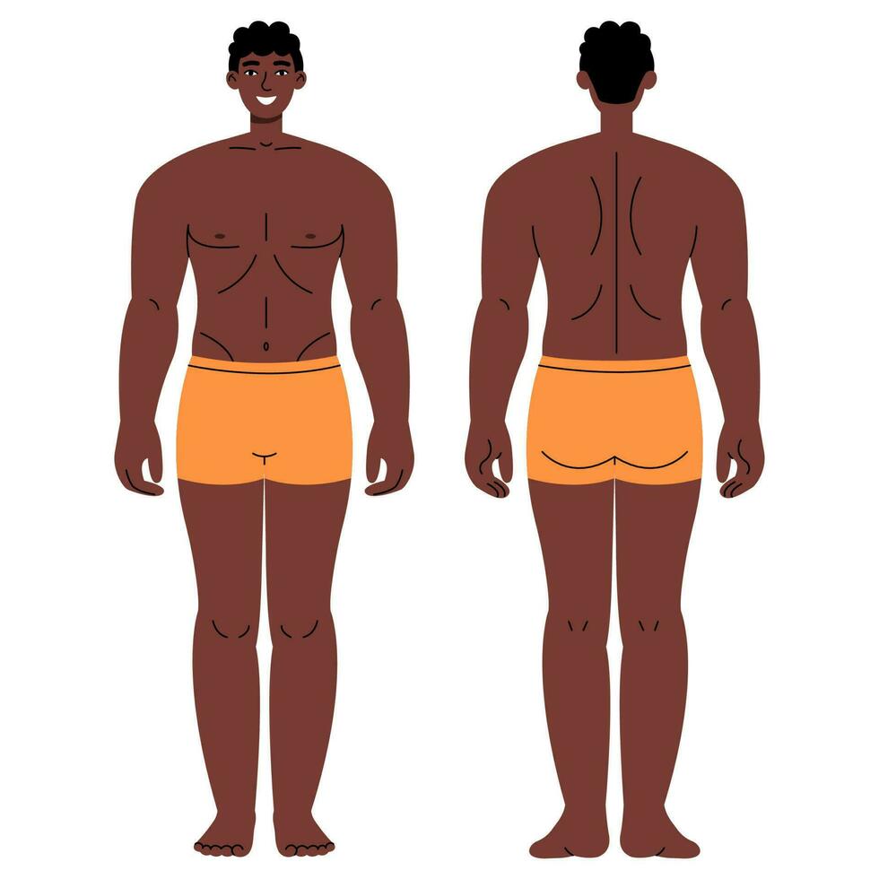 Zahl Mann im Unterhose von Vorderseite und zurück Sicht. eben Illustration isoliert auf Weiß. vektor