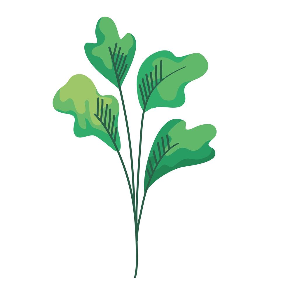 gren med blad växt dekorativa säsongsbetonade ikon vektor
