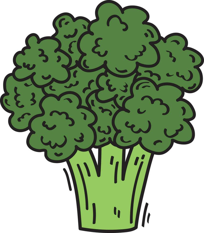 Grün Brokkoli Gemüse Illustration Essen vektor
