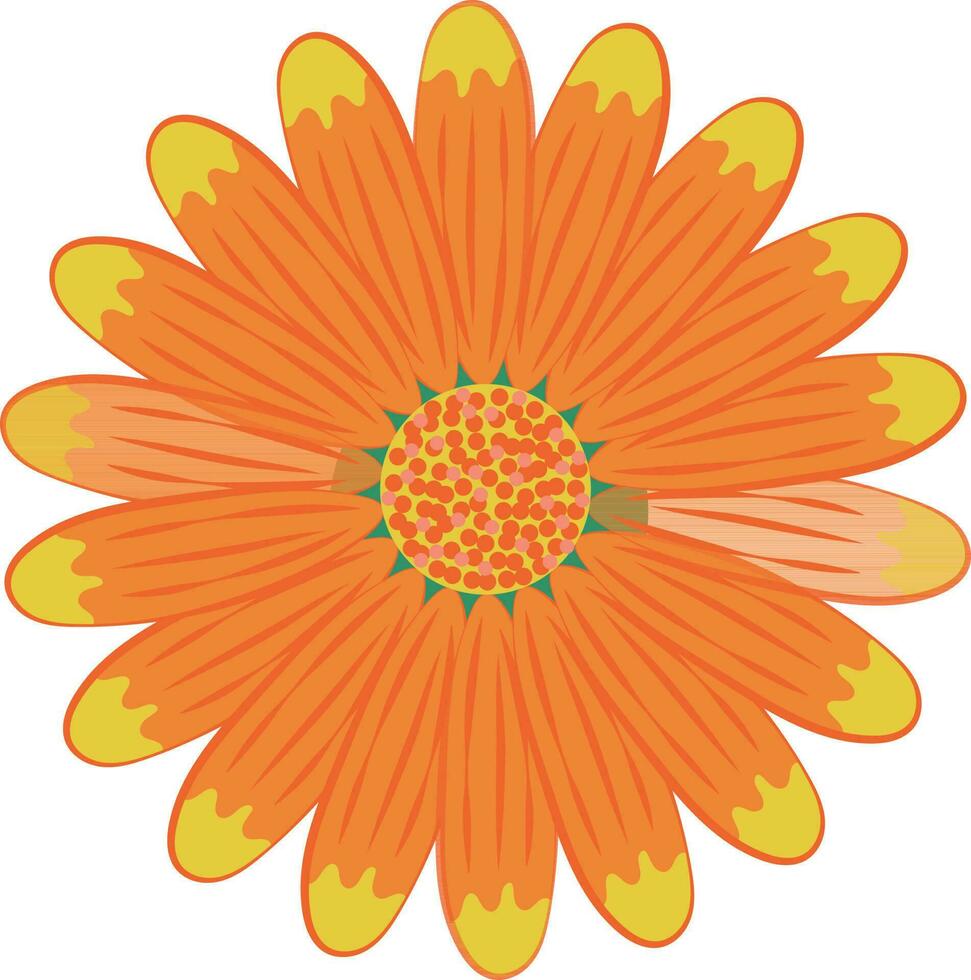 Sonnenblume Blume Illustration Design Grafik Element Kunst Karte vektor