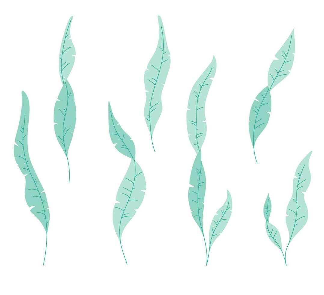 samling av lång ringlad sjögräs marin vatten- gräs dekorativ element. vektor