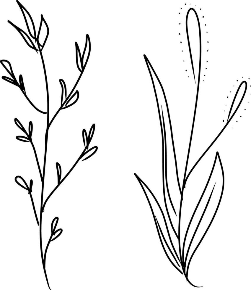 schwarz Silhouetten von Hand gezeichnet Blumen und Pflanzen isoliert auf Weiß Hintergrund. einfarbig Vektor Abbildungen im skizzieren Stil