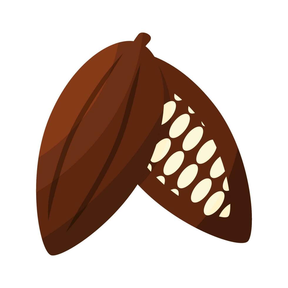 Kakao Bohne Pflanze Obst Schokolade Tag Element vektor