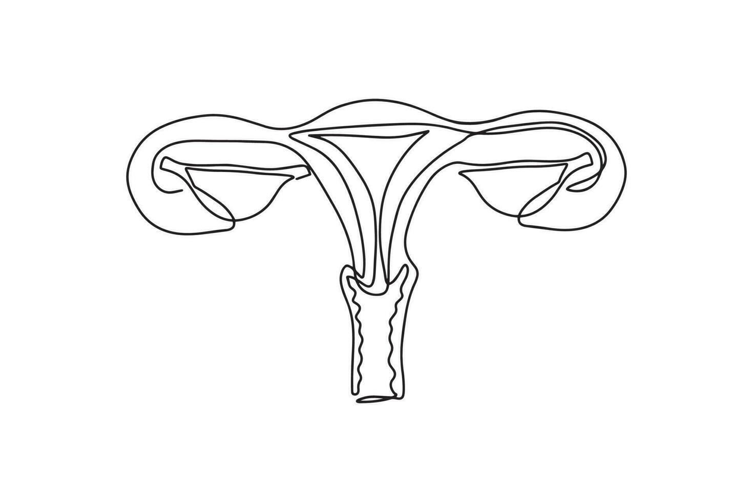 modern eben Linie weiblich reproduktiv System Vektor Symbol. Gebärmutter mit Eileiter Rohre, Eierstöcke, Gebärmutterhals und Vagina vereinfacht Diagramm. Gynäkologie medizinisch Gesundheitswesen linear Symbol