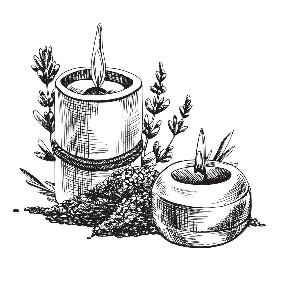 Meer Salz- und Kerzen mit Lavendel Blumen. Hand gezeichnet Illustration, eps Grafik Vektor. isoliert Komposition vektor