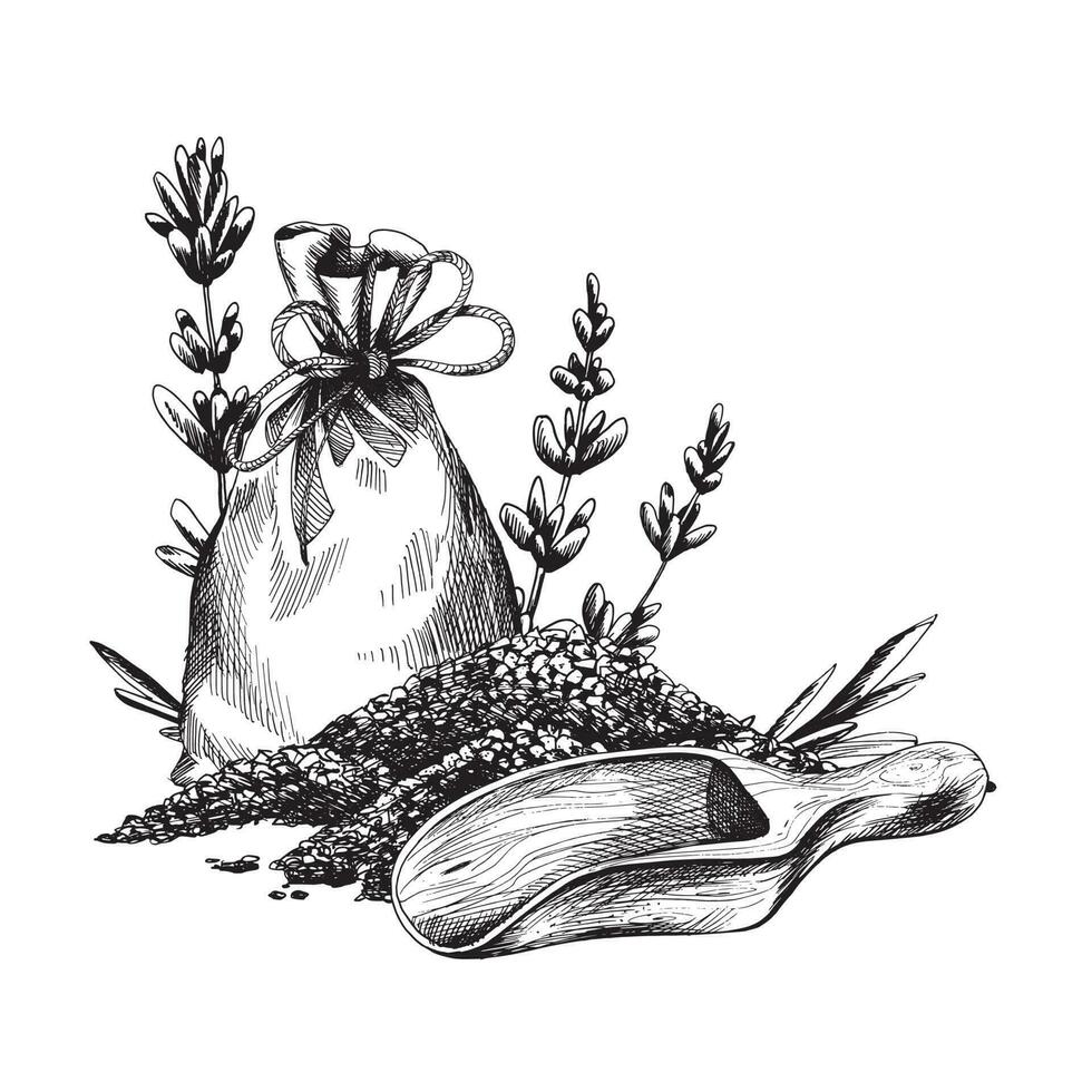 Scanvas Tasche mit Meer Salz- und Scoop mit Lavendel Blumen. Hand gezeichnet Illustration, eps Grafik Vektor. isoliert Komposition vektor