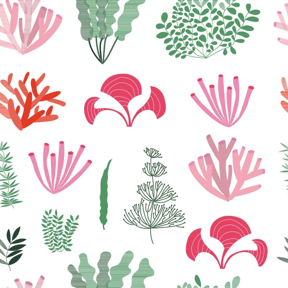 tång och korall sömlös mönster. annorlunda typer av hav växter och alger mönster vektor