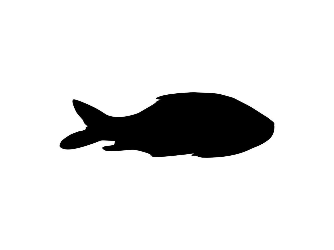 catla eller katla fisk, också känd som de större söder asiatisk karp, silhuett för ikon, symbol, logotyp typ, piktogram, appar, hemsida eller grafisk design element. vektor illustration