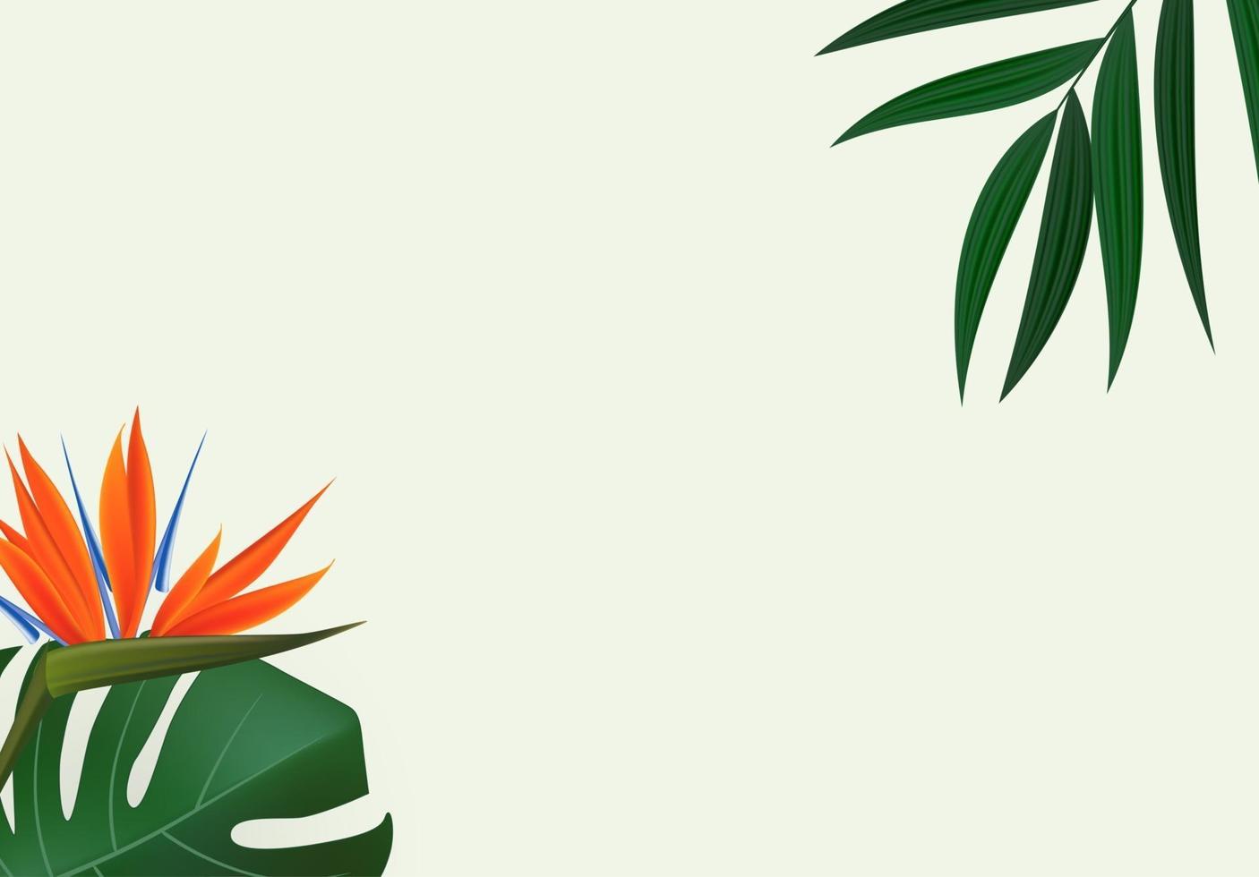 natürliches realistisches grünes Palmblatt mit tropischem Hintergrund der Strelitzia-Blume vektor