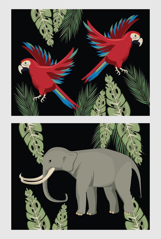 vild elefant och papegojor i djungeln vild natur scen vektor