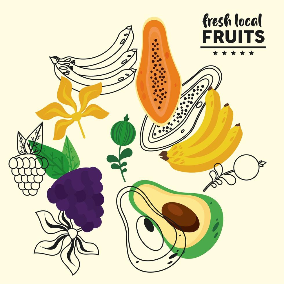 färska lokala frukter med bananer och fruktmönster vektor