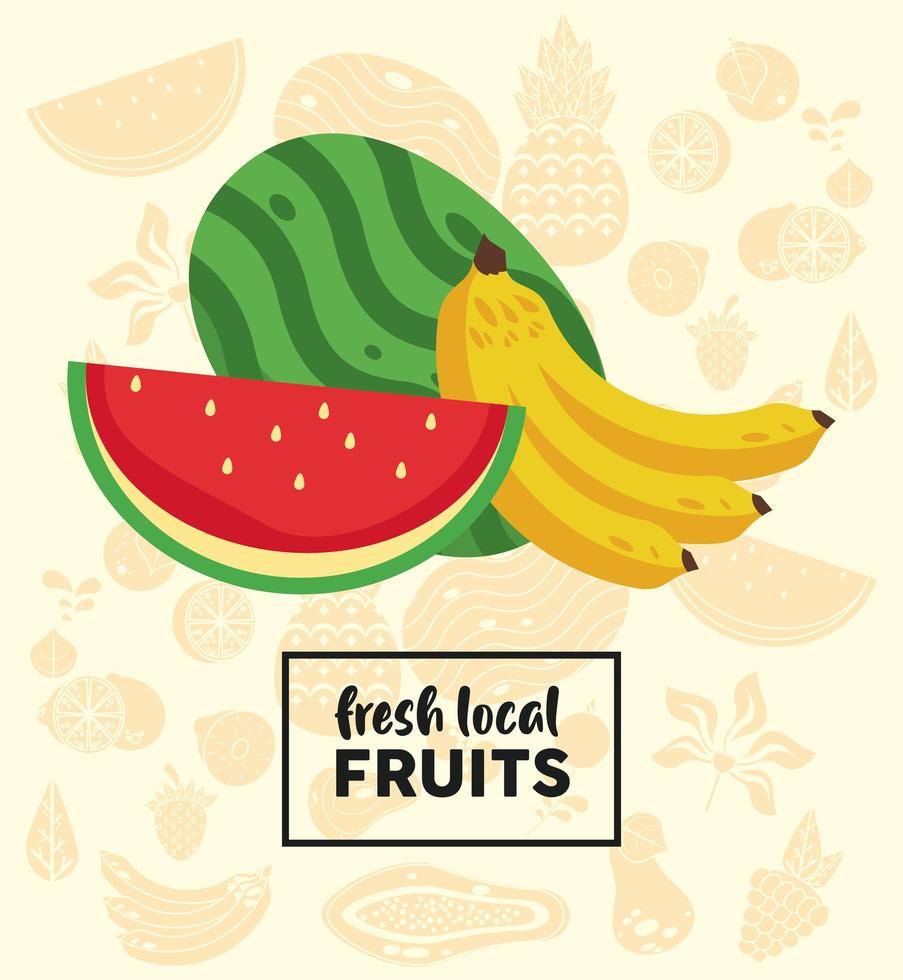 färska lokala frukter bokstäver med vattenmelon och banan vektor