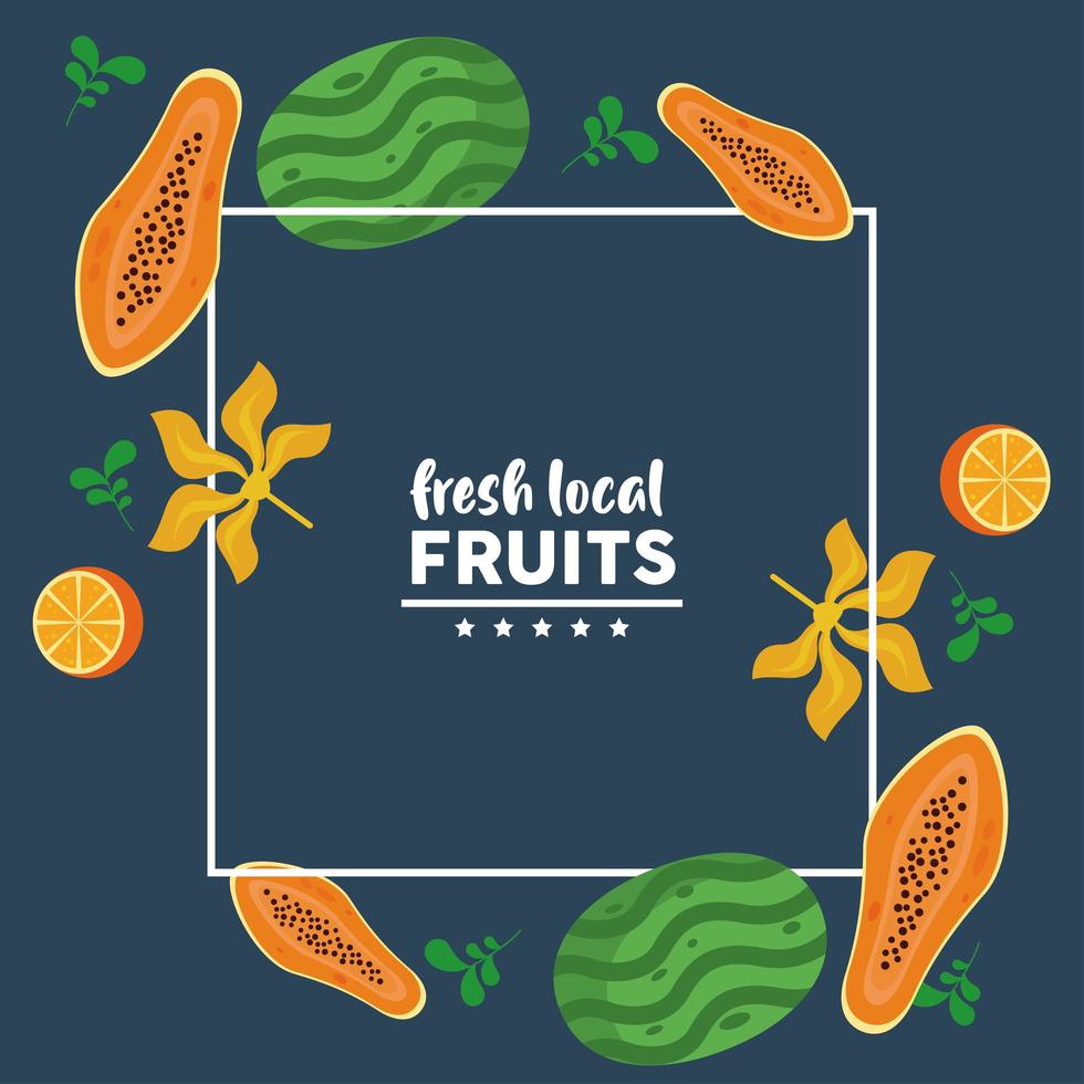 frische lokale Früchte mit Wassermelonen und Papayas im blauen Hintergrund vektor