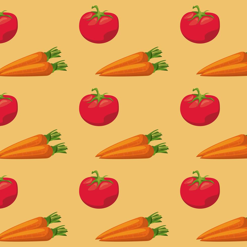 frische lokale Gemüsekarotten und -tomaten im orange Hintergrund vektor