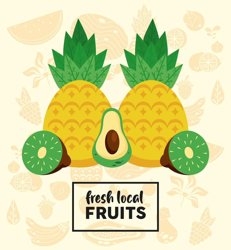 frische lokale Früchte Schriftzug und Ananas mit Früchten vektor