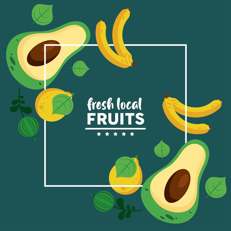 frische lokale Früchte mit Bananen und Avocados im grünen Hintergrund vektor