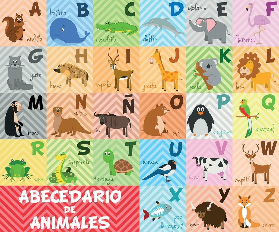 süß Karikatur Zoo illustriert Alphabet mit komisch Tiere. Spanisch Alphabet. lernen zu lesen. isoliert Vektor Illustration.