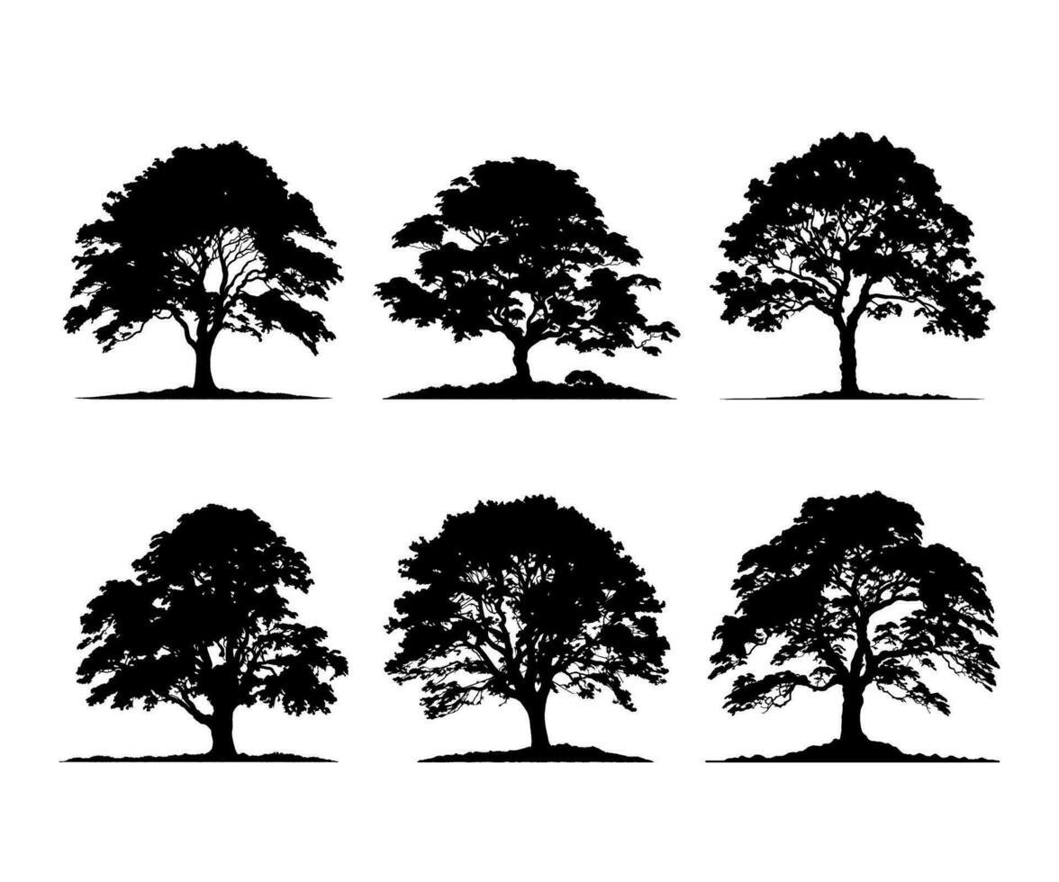 en svart och vit silhuett av en stor träd. träd element till skapa en grupp av växter någonstans vektor
