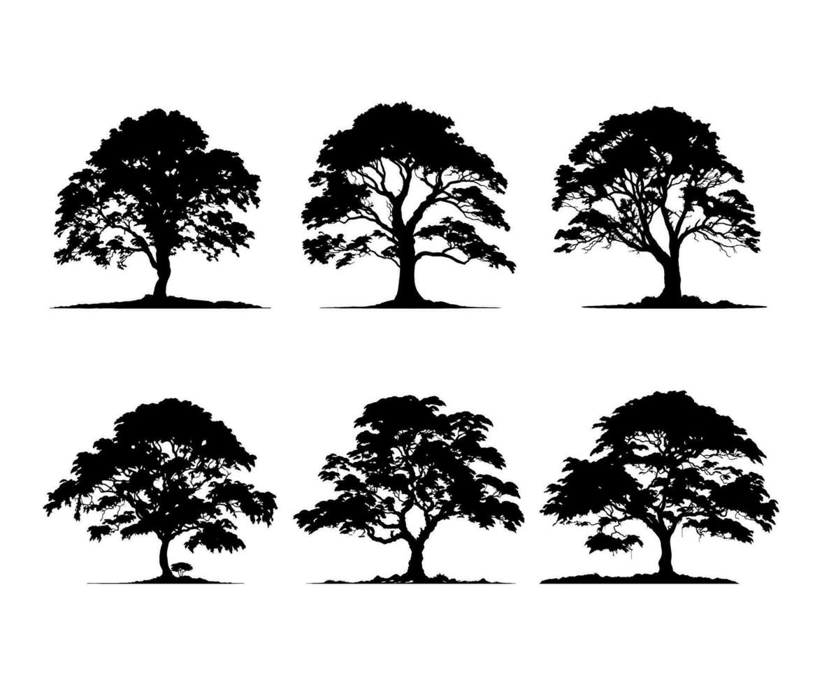 tropisch Regenwald Baum Silhouette. Pflanze Elemente zu erstellen ein Design von ein Gruppe von Bäume oder ein Wald. vektor
