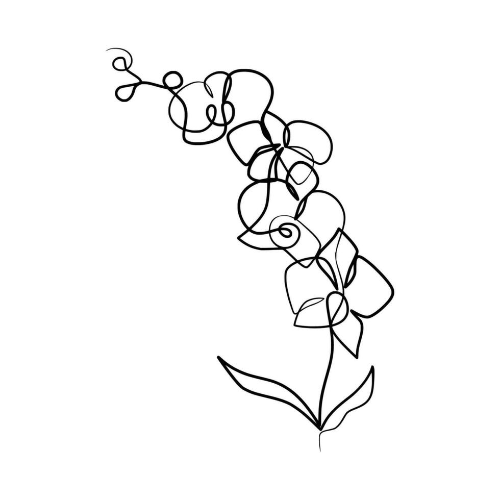kontinuerlig ett linje konst teckning av skönhet orkide blomma vektor