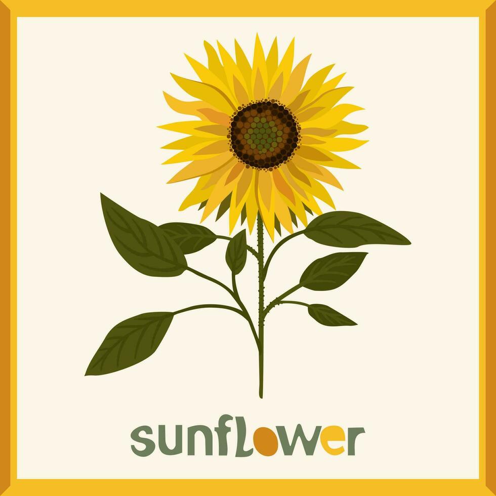 Sonnenblume. Vektor isoliert Illustration im Rahmen mit Beschriftung