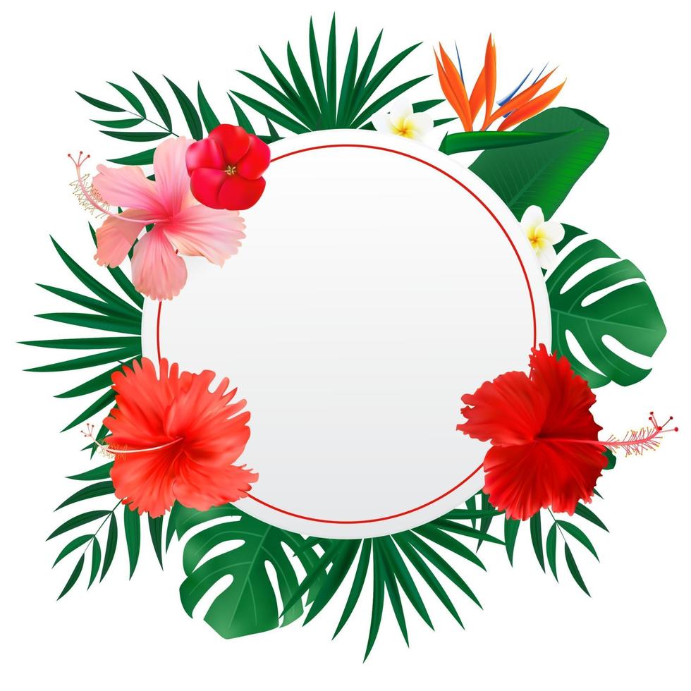 abstrakter natürlicher Rahmen mit exotischer Blume der tropischen Palmen- und Monstera-Blätter lokalisiert auf Weiß vektor