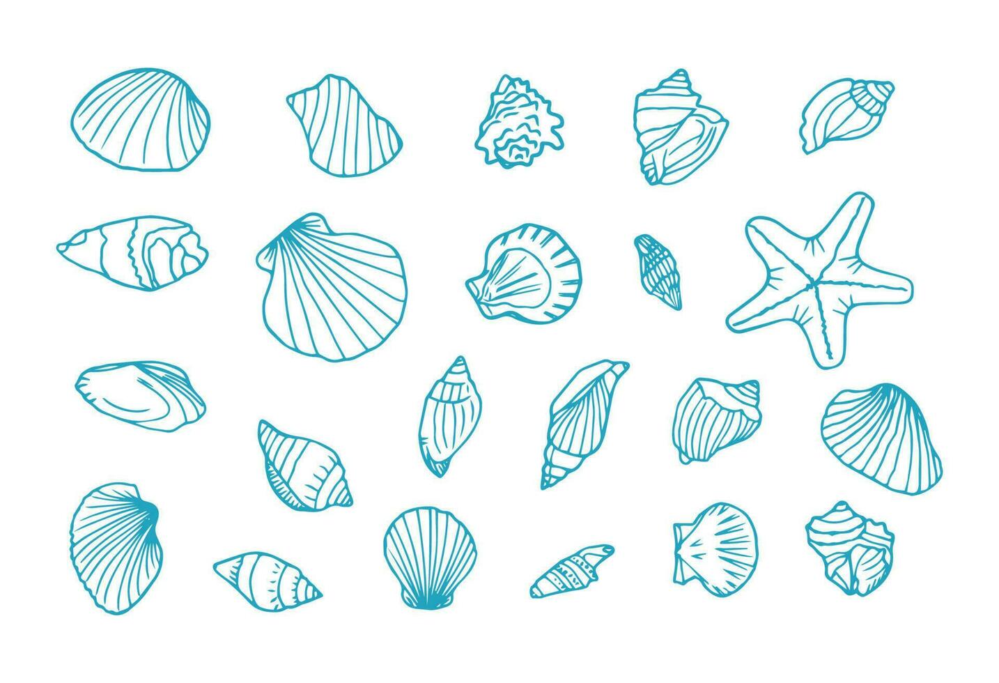 hand dragen snäckskal. marin klotter uppsättning med sjöstjärnor och musslor. samling av skal, handfat och sjöstjärna. perfekt för inbjudningar, tyg, textil, sängkläder, affischer, grafik, banderoller vektor