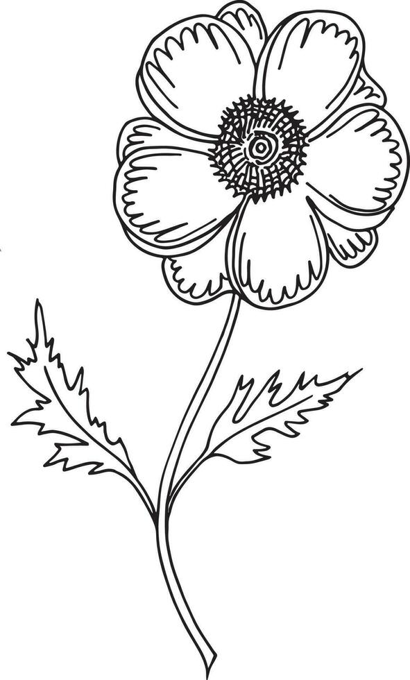 lilja blomma, hand dragen vektor illustration, blommig linje teckning, linje konst, svart och vit vektor