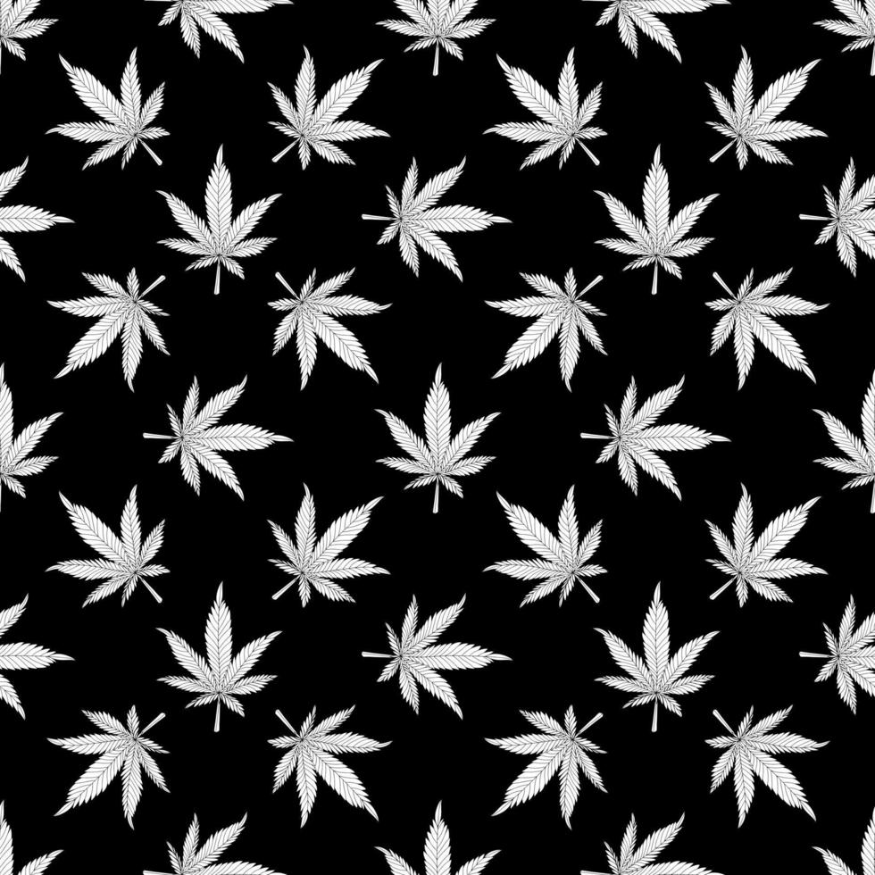 Cannabis nahtloses Muster. weiße Hanfblätter auf einem schwarzen Hintergrund. Marihuana Muster Vektor-Illustration vektor