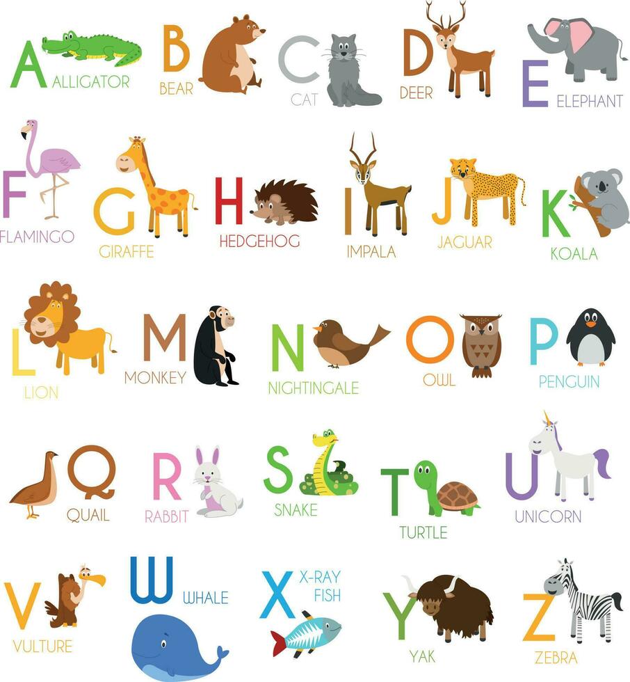 süß Karikatur Zoo illustriert Alphabet mit komisch Tiere. Englisch Alphabet. lernen zu lesen. isoliert Vektor Illustration.