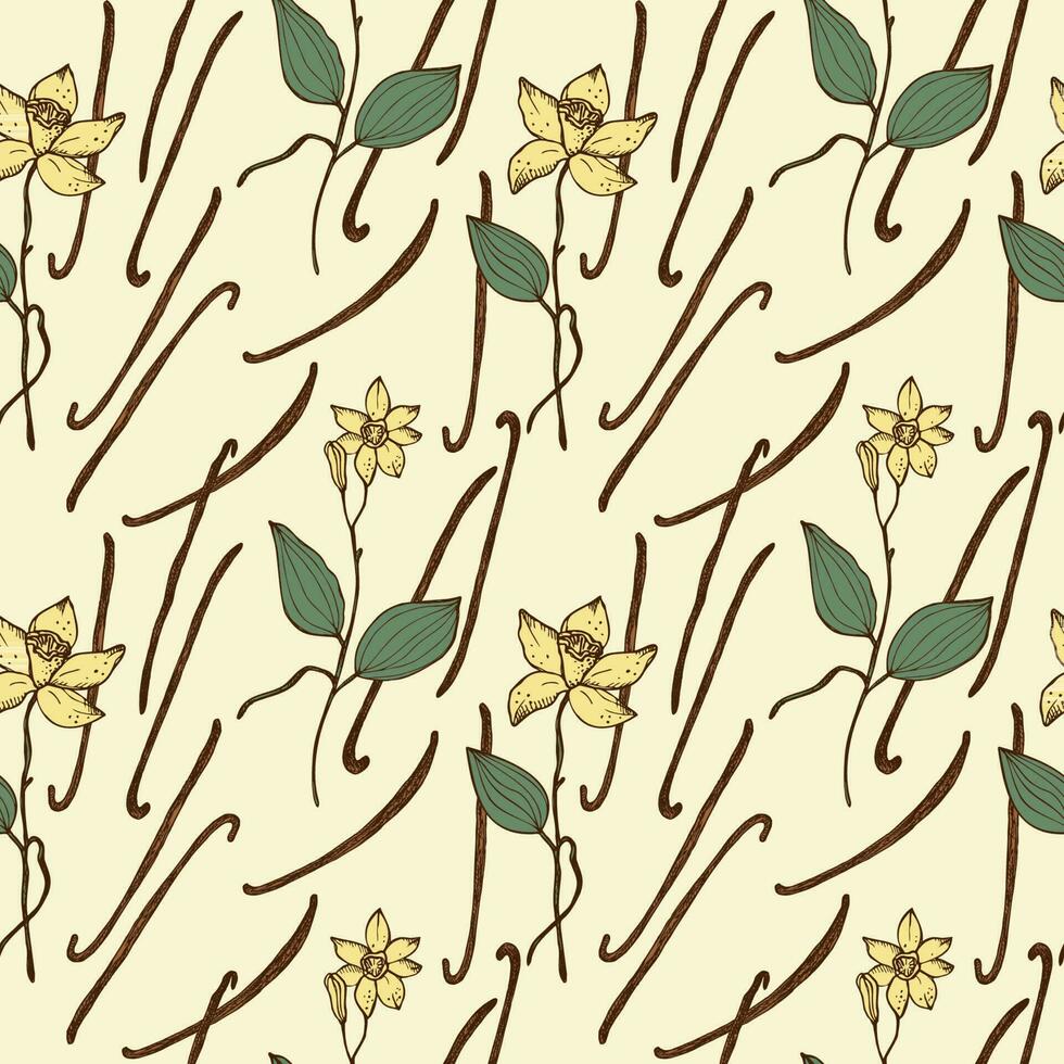 vanilj sömlös upprepa mönster med doftande krydda bukett av vanilj växt. illustration av en blommig bakgrund. hand ritade. design element för textil, märka bakgrund för mat, cosmetics.vector vektor