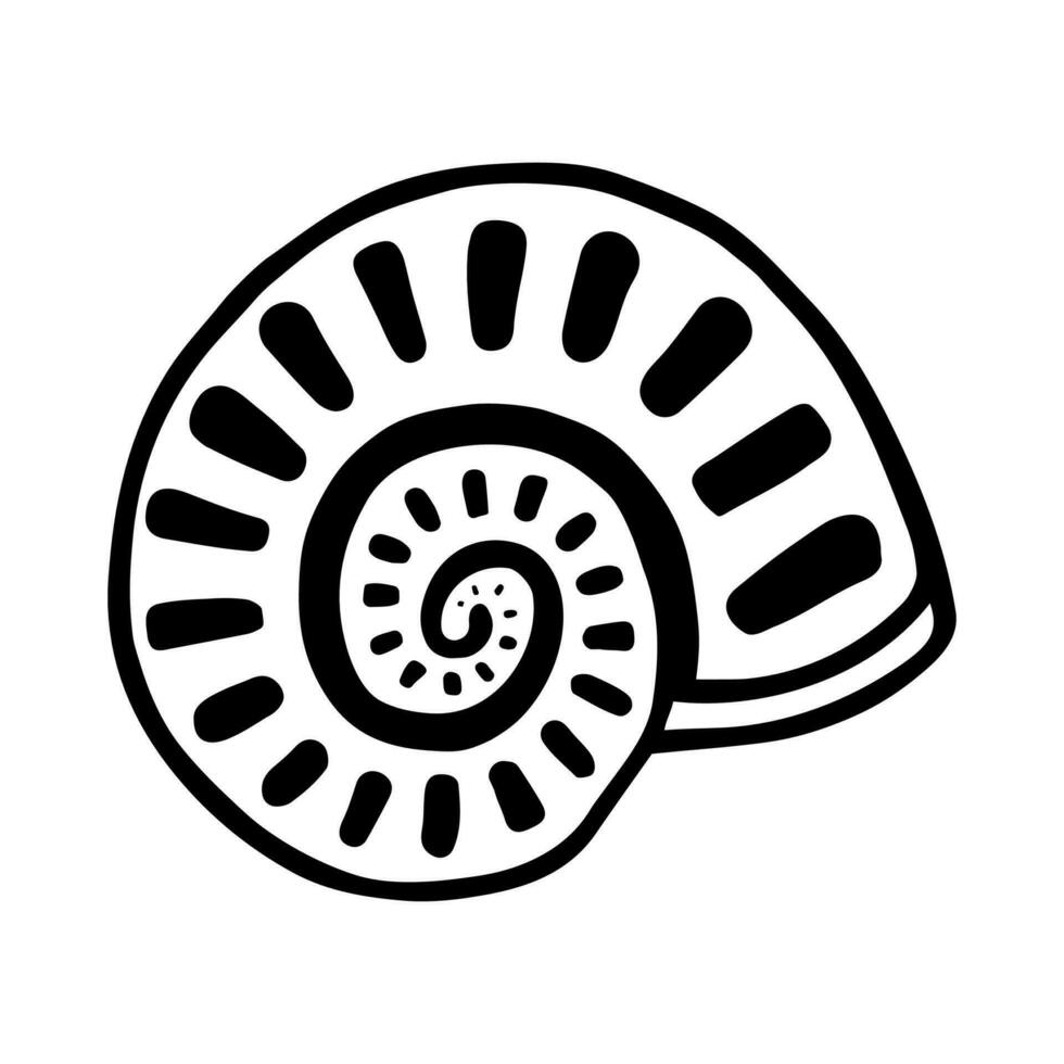 hav skal i spiral form. hand dragen skiss hav snigel. vektor illustration isolerat på vit bakgrund.