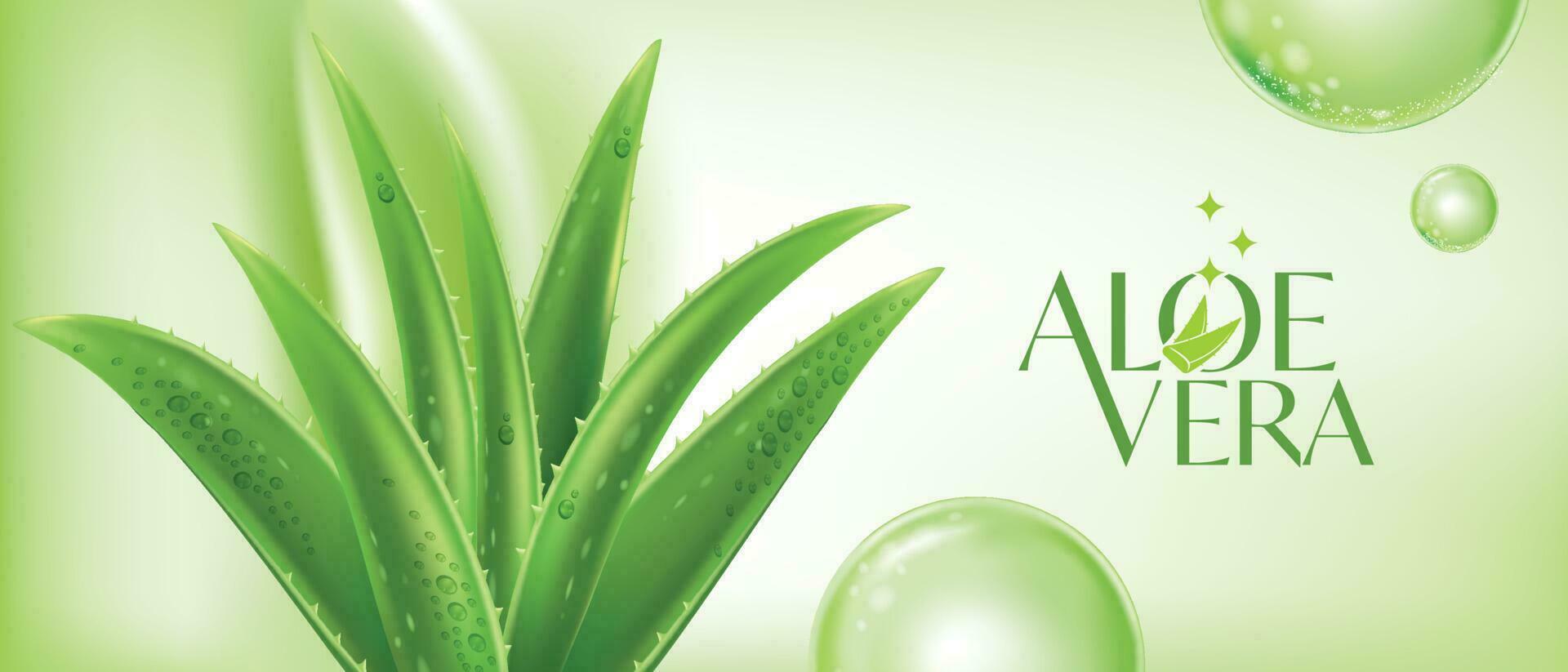 Aloe vera Kollagen Serum Haut Pflege Kosmetik. vektor