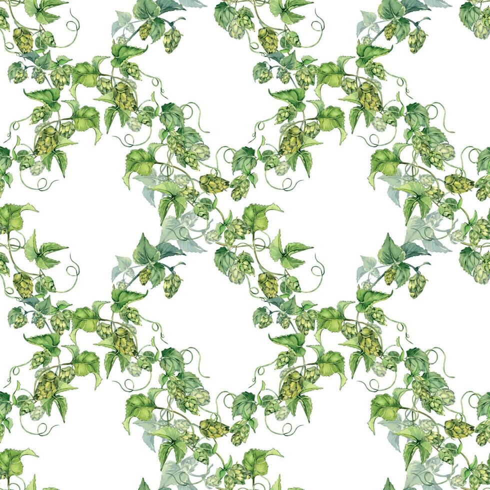 hop Ranke, Pflanze Humulus Aquarell nahtlos Muster isoliert auf Weiß Hintergrund. hop auf Brunch mit Blätter, hop Zapfen Hand gezeichnet. Design Element zum Verpackung, Etikett, Verpackung, Papier, Textil- vektor