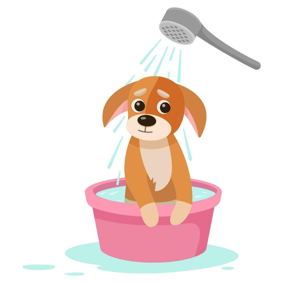 Karikatur Hund nimmt ein Dusche. Spa und Hund Pflege Konzept. süß rot Hund genießt Salon Behandlungen. sauber glücklich Haustier. Vektor Illustration.