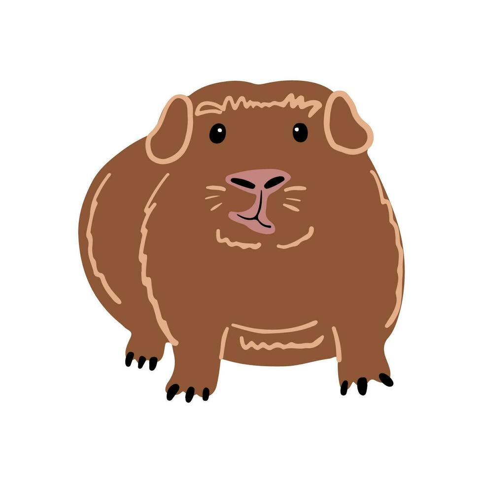 süß komisch Fett Guinea Schwein Stehen, Vorderseite Sicht. Vektor Illustration von ein klein Haustier. Nagetier Illustration.