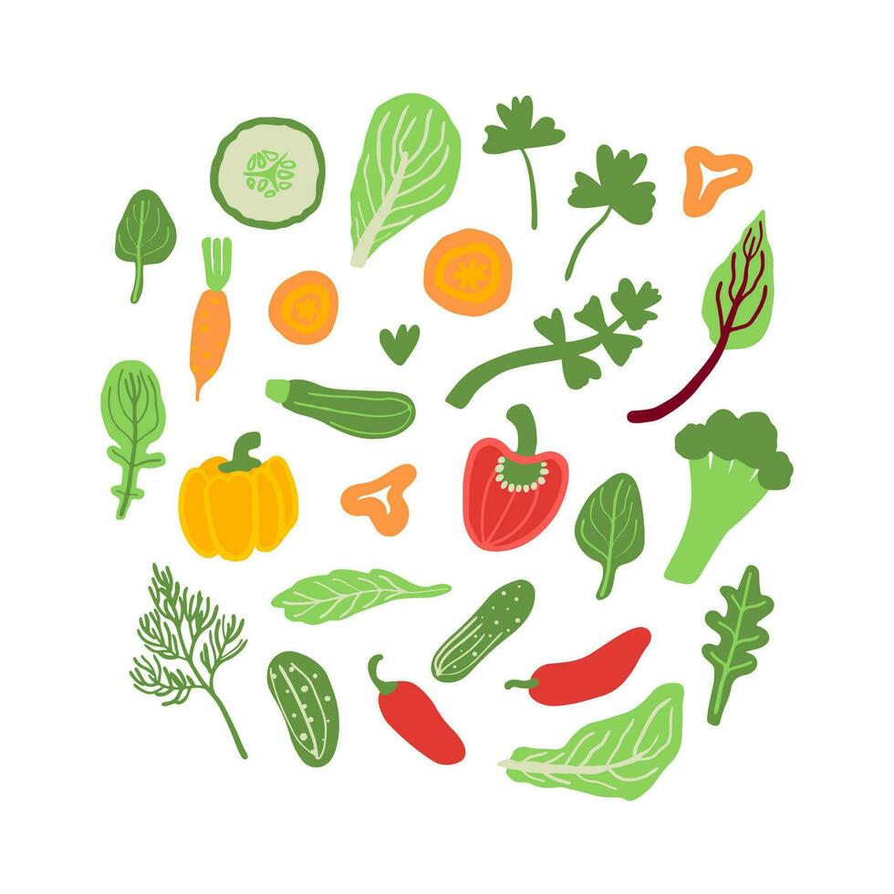 hand dragen grönsaker uppsättning. sallad löv, peppar, gurka, morot, persilja, selleri, dill, broccoli, spenat, kål blad. vektor illustration.