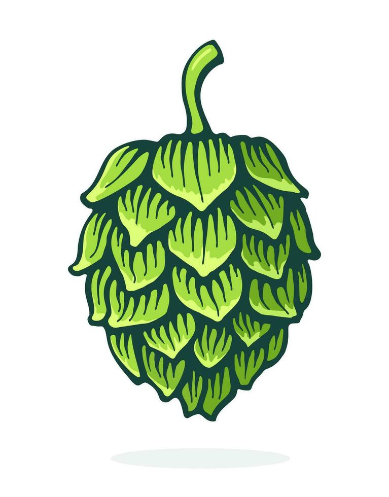 tecknad serie illustration. grön kon av hopp. symbol av öl, pub och alkoholhaltig dryck. grafisk design med kontur. ClipArt skriva ut för förpackning, meny, skylt, monter. isolerat på vit bakgrund vektor