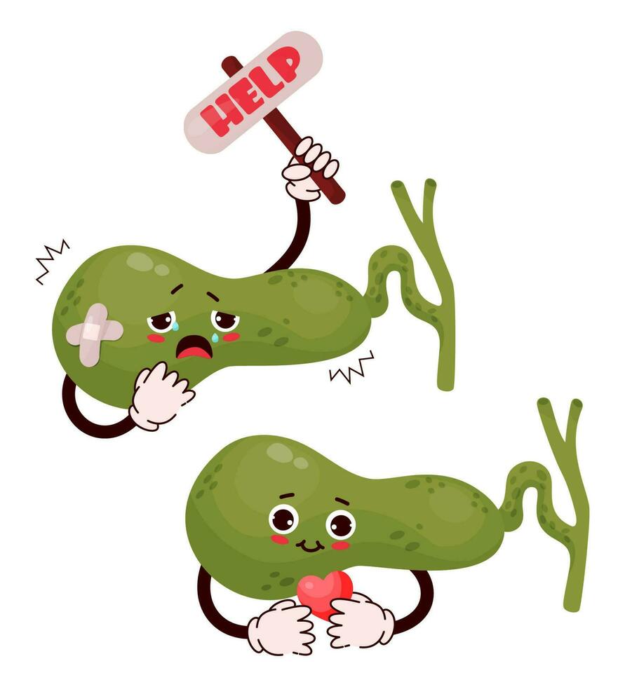 söt tecknad serie karaktär gallblåsan. mänsklig organ med annorlunda känslor. Lycklig och ledsen, rop och frågar för hjälp. vektor illustration. begrepp hälsa och sjukdom, smärta.