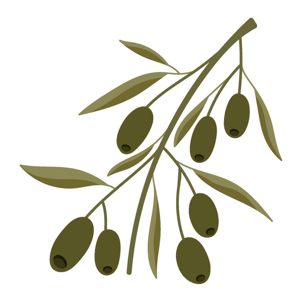 Olive Natur Baum Symbol isoliert vektor