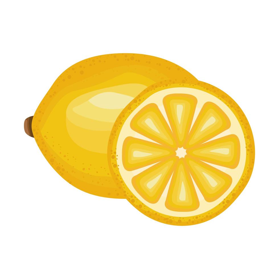 detaillierte Stilikone der frischen köstlichen Frucht der Zitrone vektor