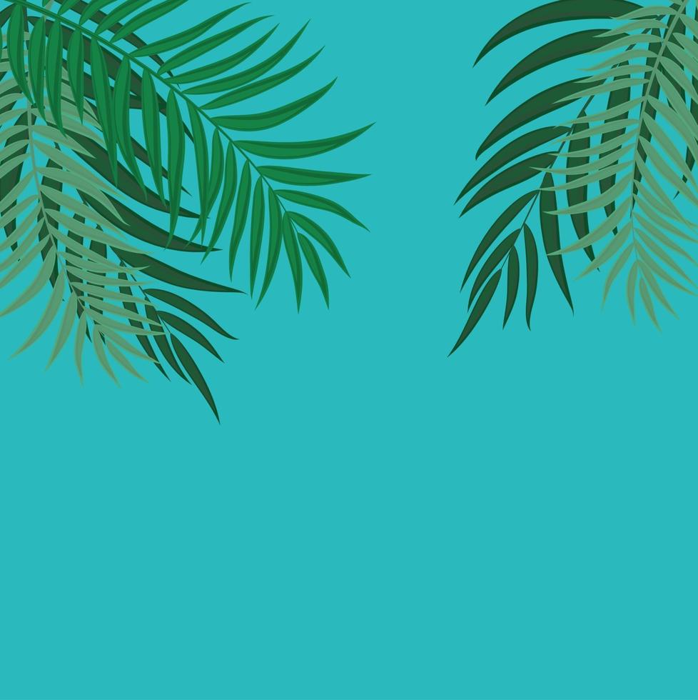 schöne Palme verlässt Silhouette Hintergrundvektorillustration vektor