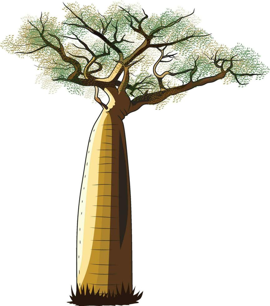 baobab träd också känd som träd av liv vektor bild