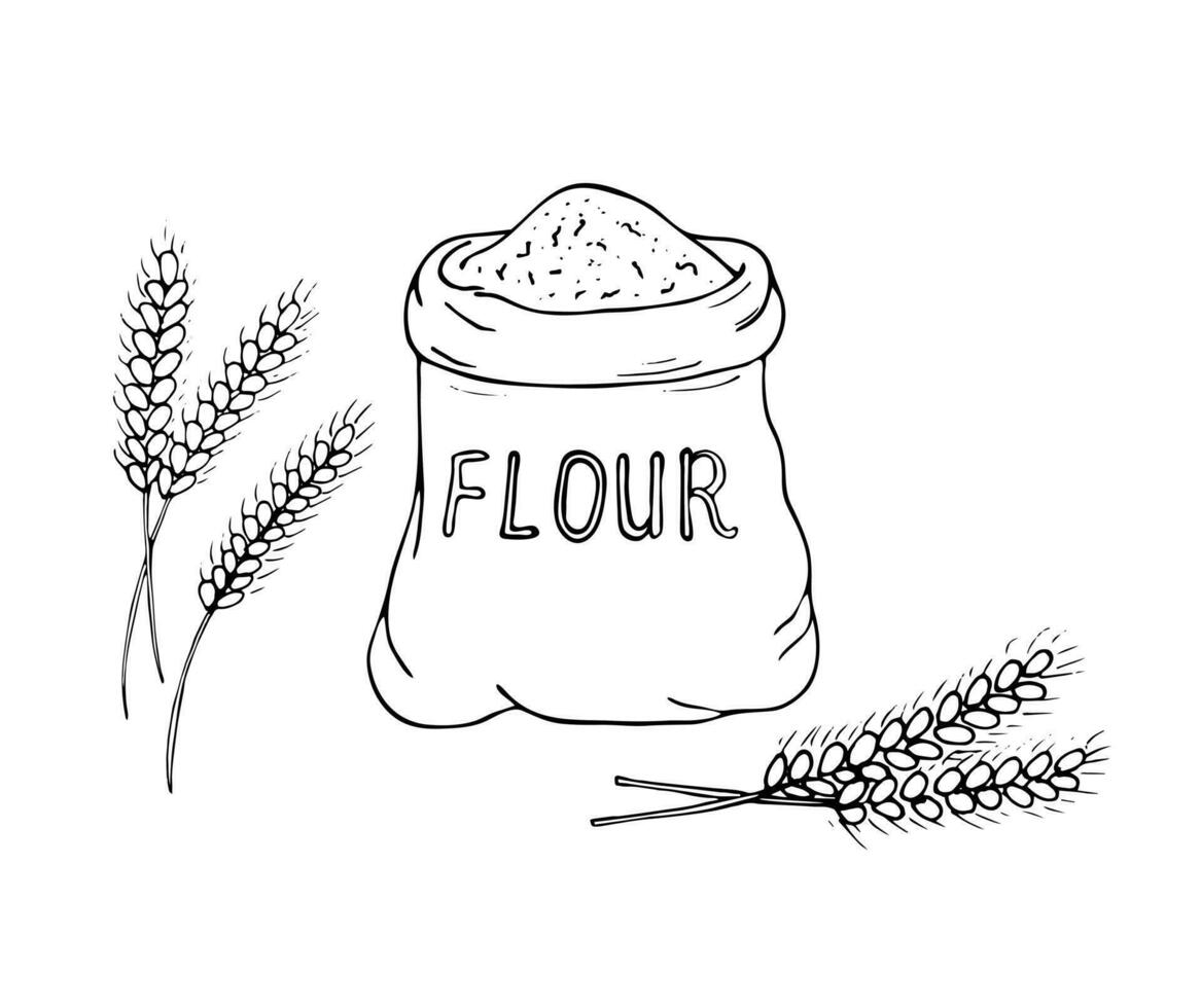 ritad för hand säck av mjöl med vete öron, väska av mjöl vektor illustration med vete öron, isolerat på vit bakgrund